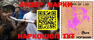 spice Кингисепп
