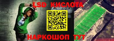 spice Кингисепп