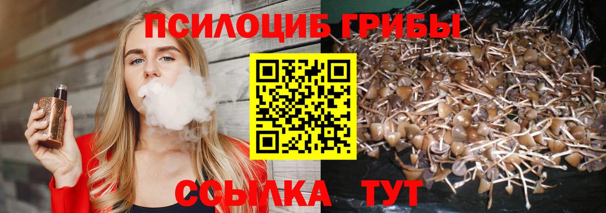 Кропоткин  Псилоцибиновые грибы мицелий  Псилоцибиновые грибы MAGIC MUSHROOMS  Вход с VPN 